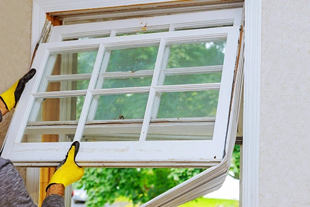 Window Replacement in Seminole, FL